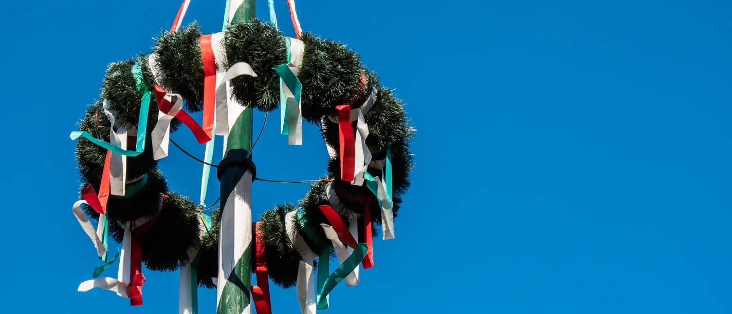 maibaum.png