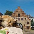 Kopfbild-Katzenmaerchen-Norderstrasse-aff