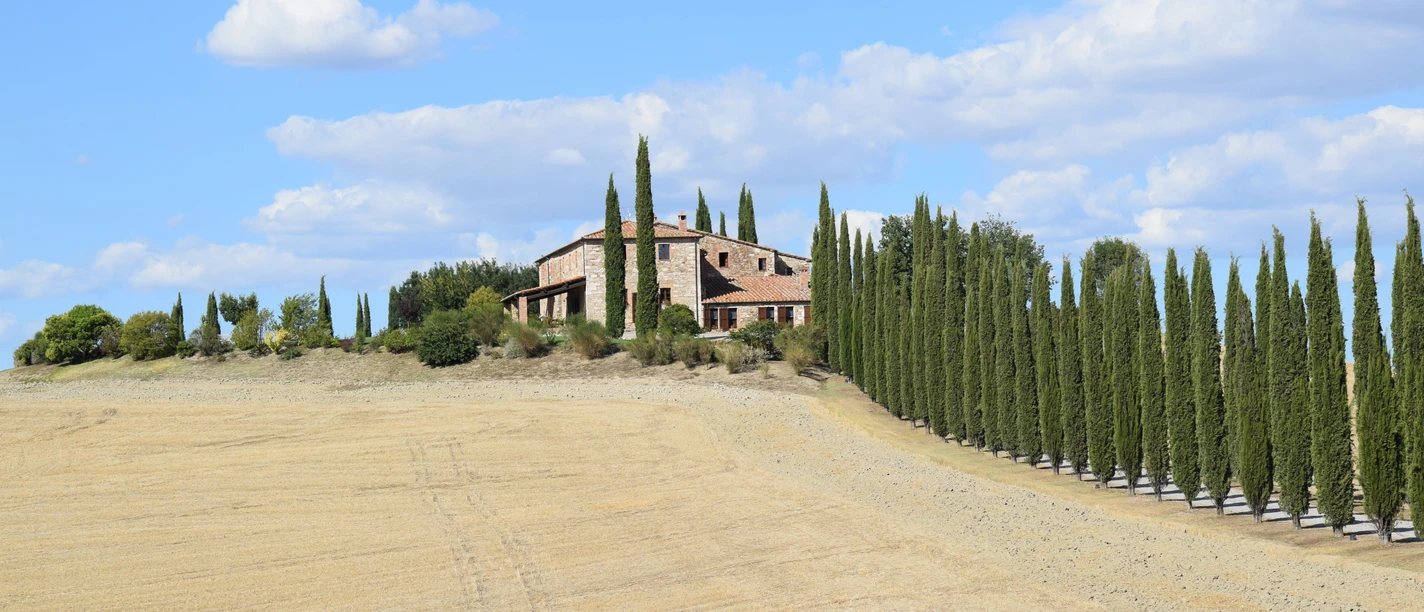 palmik-cypress-trees-2658940.jpg
