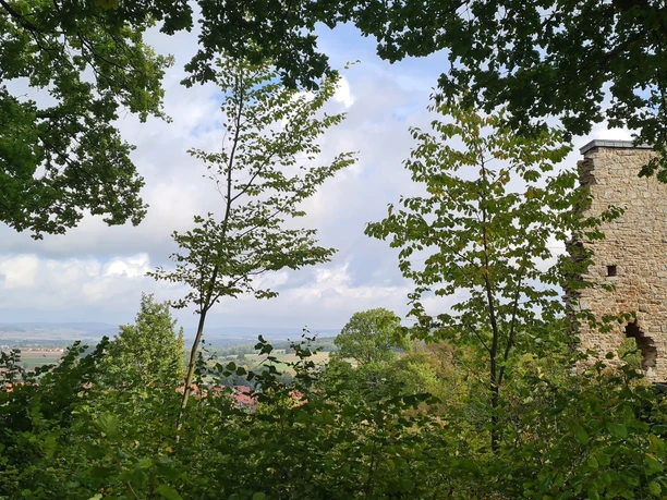 Qualitätstour Wilde Burschen (La 1 + LRR Eichenwald)