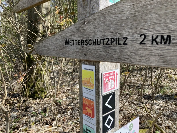 Wegweiser am Wanderparkplatz | Büren-Ringelstein Wanderwegweiser