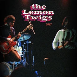 Bühnenauftritt mit zwei Musikern und dem eingeblendeten Schriftzug The Lemon Twigs Live