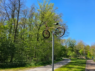 Ein buntes BMX-Rad auf einem Mast an einem Parkweg vor grünen Bäumen unter blauem Himmel.