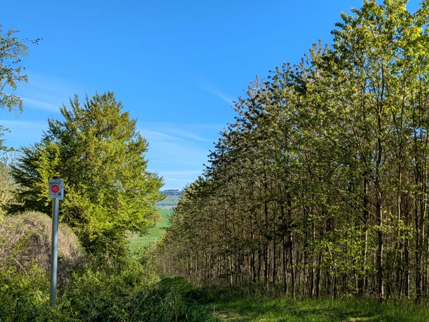 Weg zum Steinbruch Vardeilsen, Beschilderung Panoramaweg Grüner Weg zwischen Bäumen mit Fernsicht. Links steht ein Schild für den Panoramaweg.