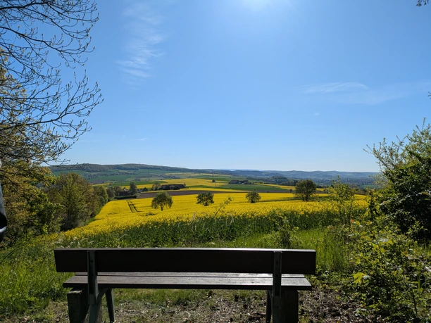 Kriegerdenkmal, Bartshausen, Bank, Ausblick, Panoramaweg Holzbank mit weitem Blick über gelbe Rapsfelder und grüne Hügel unter blauem Himmel.