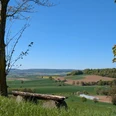 Rastplatz, Avendshausen, Bank, Ausblick, Panoramaweg, Rustikale Holzbank zwischen Bäumen mit weitem Panoramablick über Felder und sanfte Hügel.