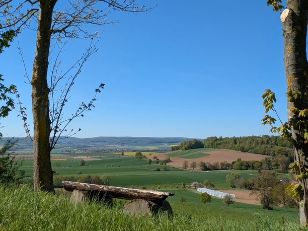 Rastplatz, Avendshausen, Bank, Ausblick, Panoramaweg, Rustikale Holzbank zwischen Bäumen mit weitem Panoramablick über Felder und sanfte Hügel.