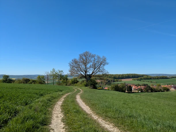 Rastplatz, Avendshausen, Bank, Ausblick, Panoramaweg Feldweg auf grüner Anhöhe führt zu Baum und Hochsitz. Weitblick auf ein Dorf im Tal.