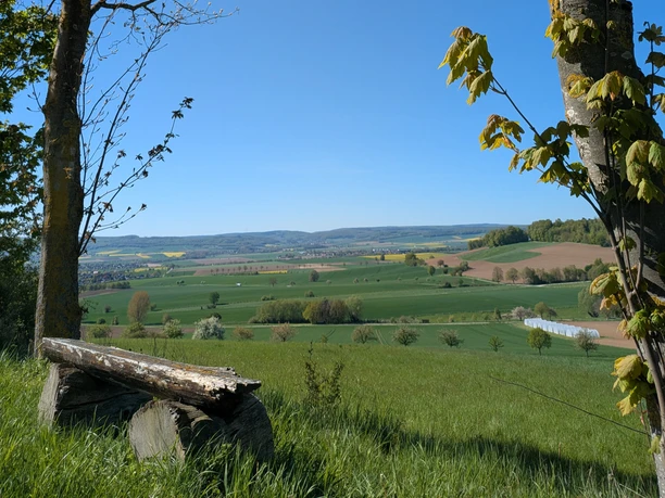 Rastplatz, Avendshausen, Bank, Ausblick, Panoramaweg Holzbank zwischen Bäumen mit weitem Ausblick auf grüne Felder und Hügel unter blauem Himmel.
