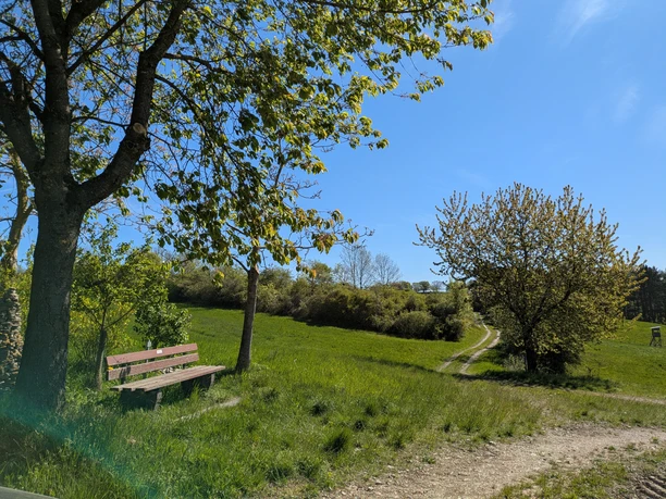 Bank, Rastplatz, steinerne Türme Kuhlager, Panoramaweg Holzbank unter einem Baum am sonnigen Panoramaweg mit Blick auf Wiesen und einen Feldweg.