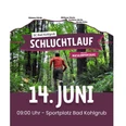 Veranstaltungskalender online_Schluchtlauf 2026.png