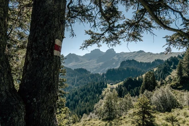 Wanderweg