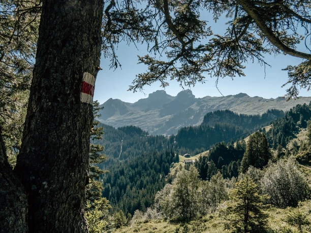 Wanderweg