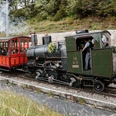 Lok 16
