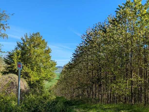Weg zum Steinbruch Vardeilsen, Beschilderung Panoramaweg