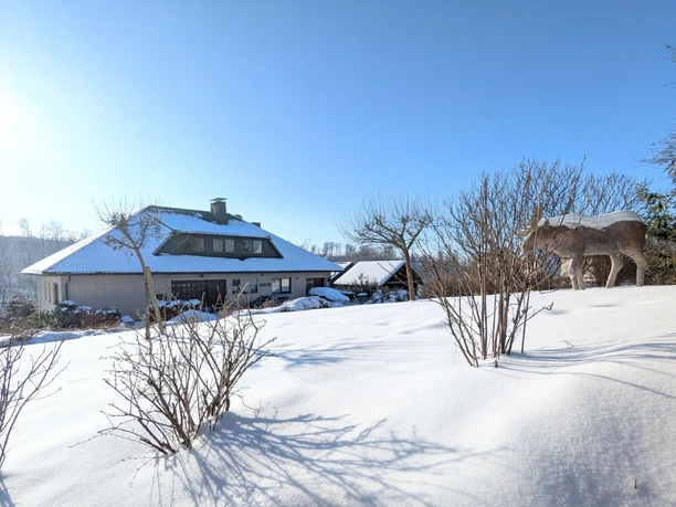 Ferienwohnung Haus Am Mühlenberg