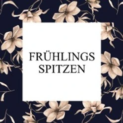 Helles Textfeld mit Aufschrift Frühlingsspitzen vor dunklem Hintergrund mit hellen Blüten