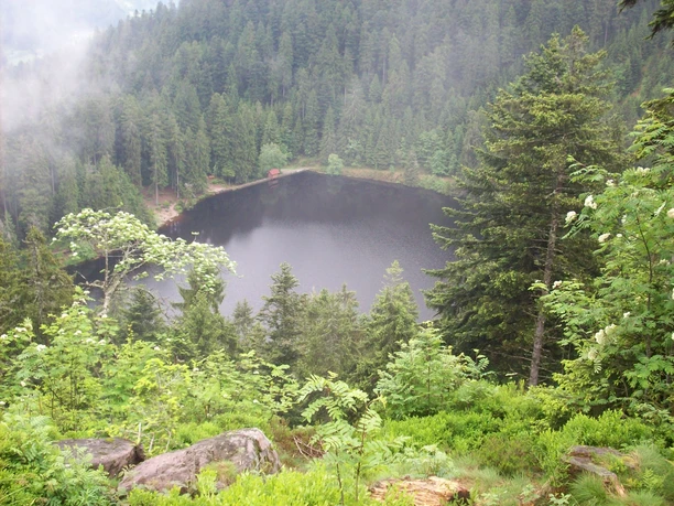 Glaswaldsee