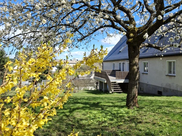 Außengelände / Garten