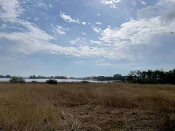 BlickvonAussichtsplattformKudensee.jpeg