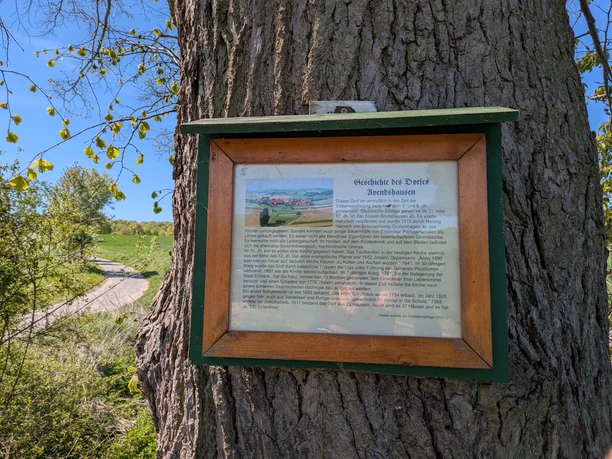 Alte Linde, Avendsausen, Panoramaweg Gerahmte Infotafel zur Dorfgeschichte Avendshausen am Stamm einer Linde am Panoramaweg.