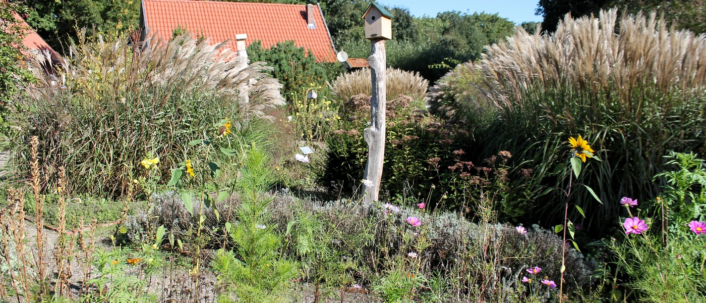 Heilkräutergarten auf dem Heimathof Emsbüren ©Emsland Tourismus GmbH.JPG