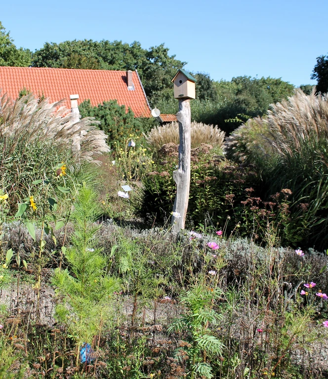 Heilkräutergarten auf dem Heimathof Emsbüren ©Emsland Tourismus GmbH.JPG