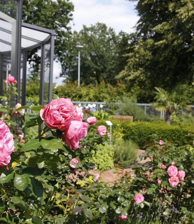 Bibelgarten Werlte ©Emsland Tourismus GmbH (2).jpg