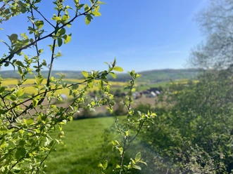 Blick durch grüne Zweige auf weite Wiesen, gelbe Felder und das ferne Dorf Bartshausen.