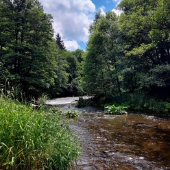 Diemel bei Marsberg