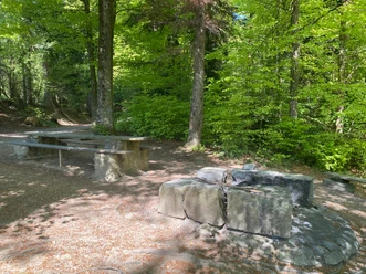 Sempach_Grillstelle_Mussi