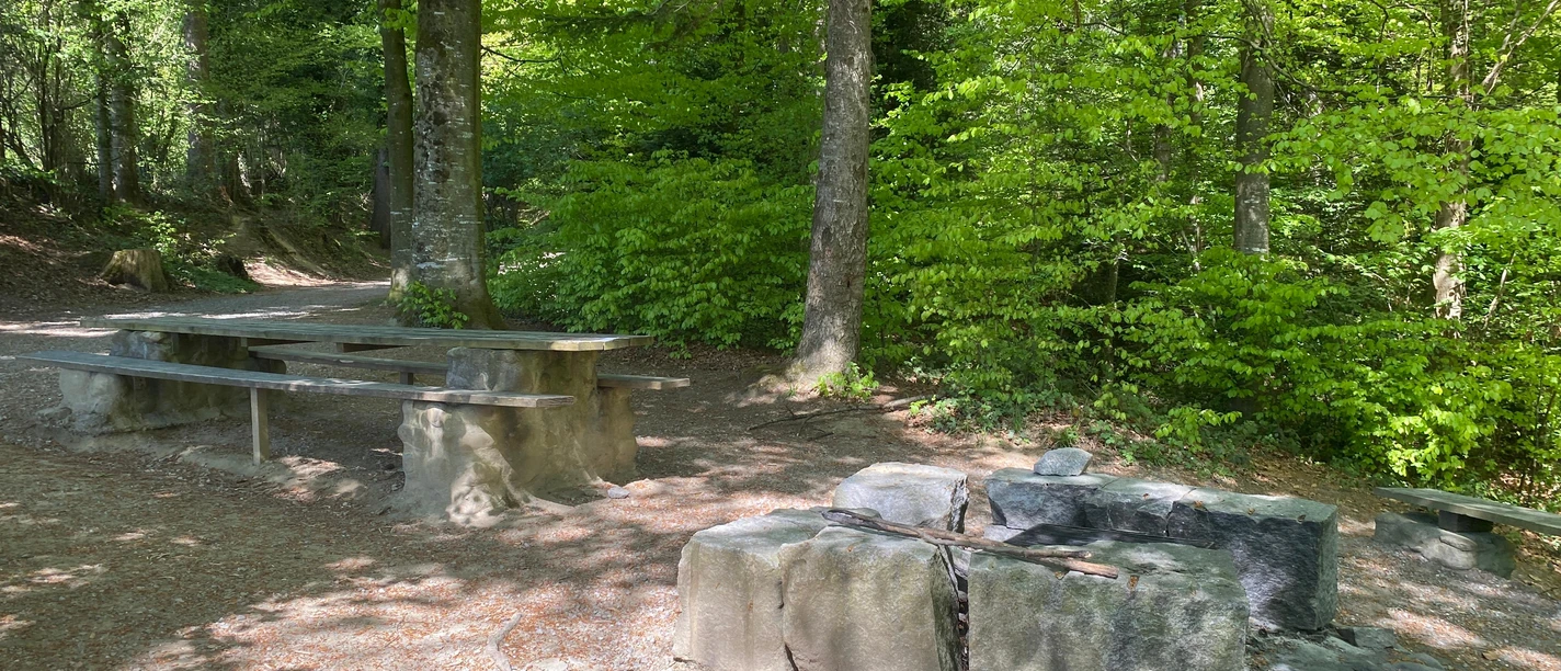 Sempach_Grillstelle_Mussi