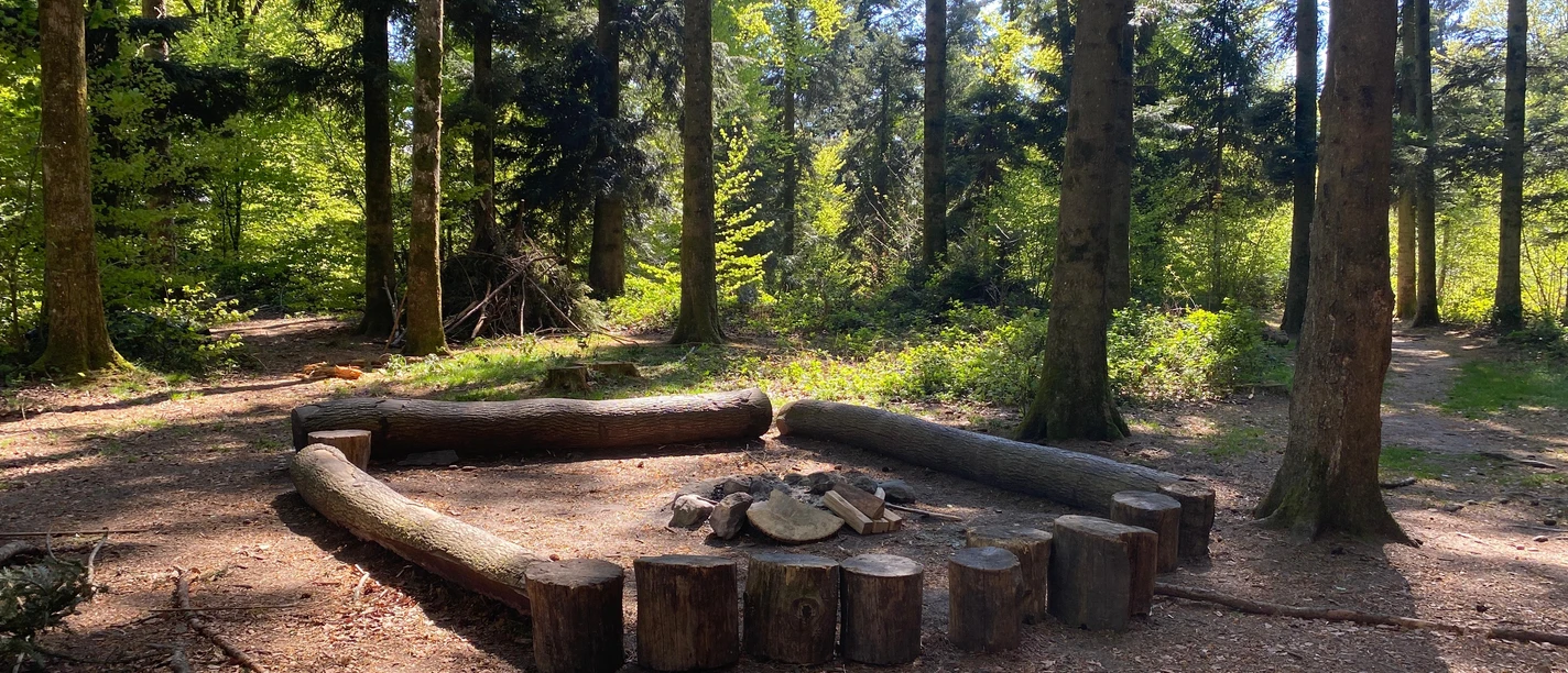 Sempach_Grillstelle_Muehletal_oben.jpeg