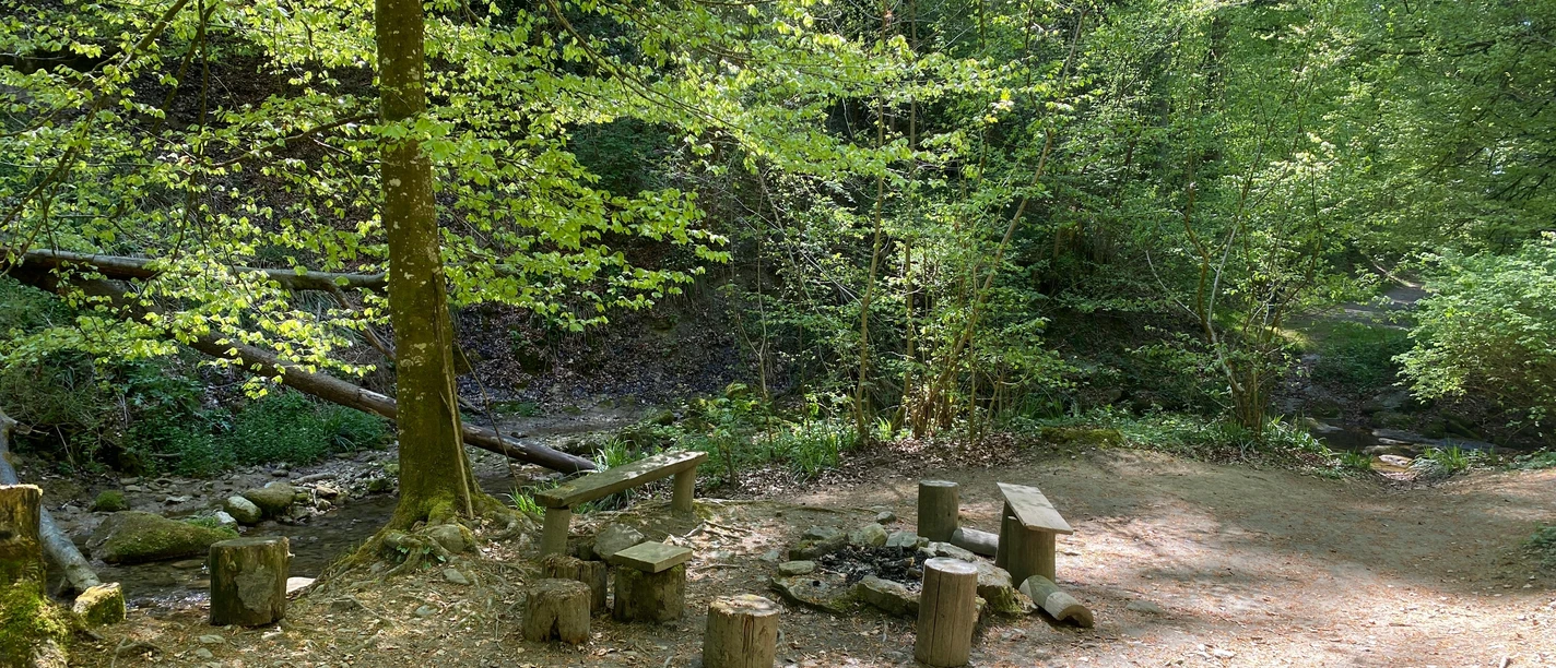 Sempach_Grillstelle_Muehletal_unten.jpeg