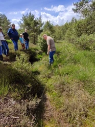 Moorwanderung im Hamberger Moor