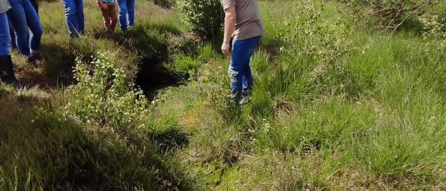Moorwanderung im Hamberger Moor