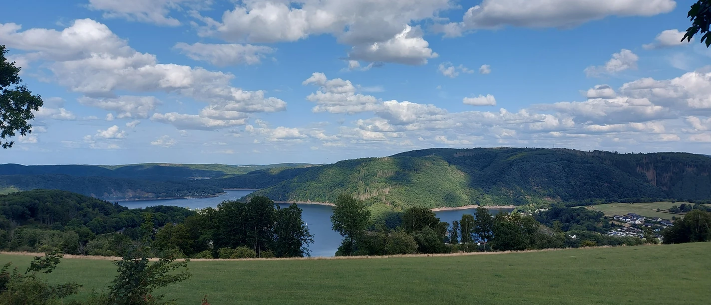Rurseeaussicht Juli-Augsut (co) Theißen-Braun