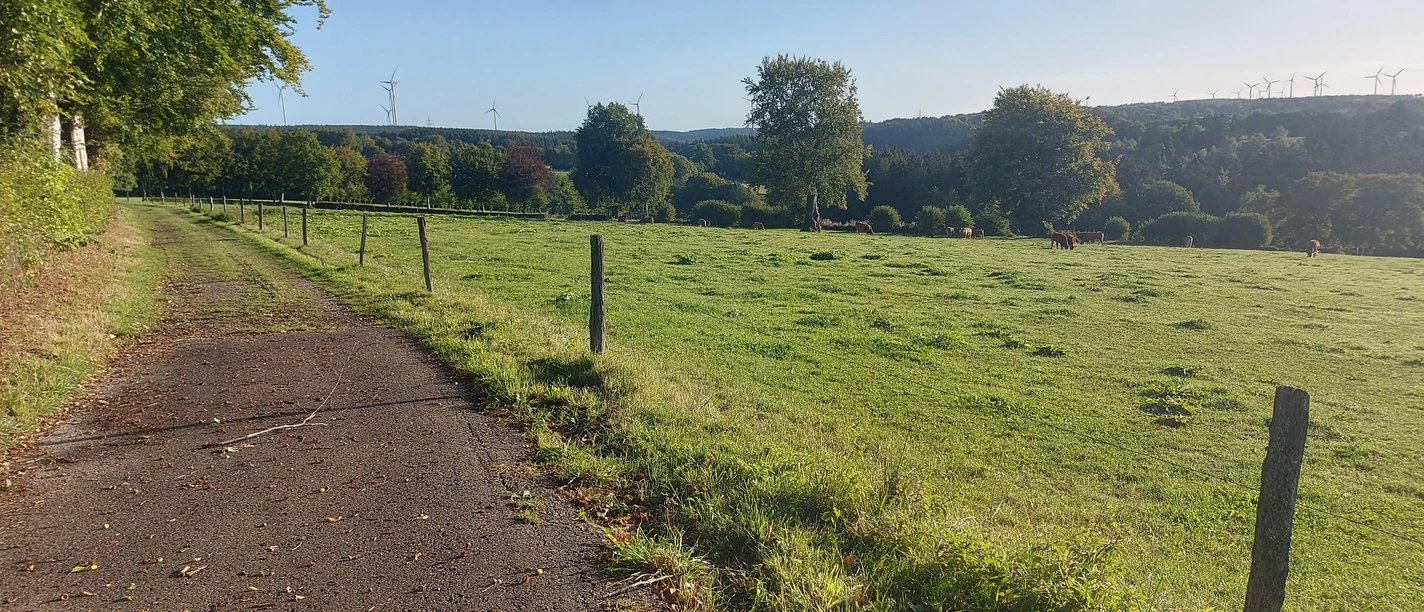 Weg Wiesen Lammersdorf September (co) Theißen-Brau
