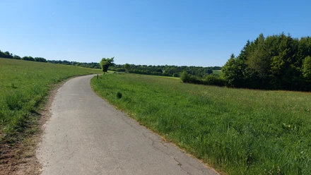 Wiesenaussicht Huppenbroich Juli-August (co) Theiß