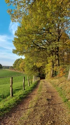 Lehmjöres Aussicht September-Oktober (co) Theißen-