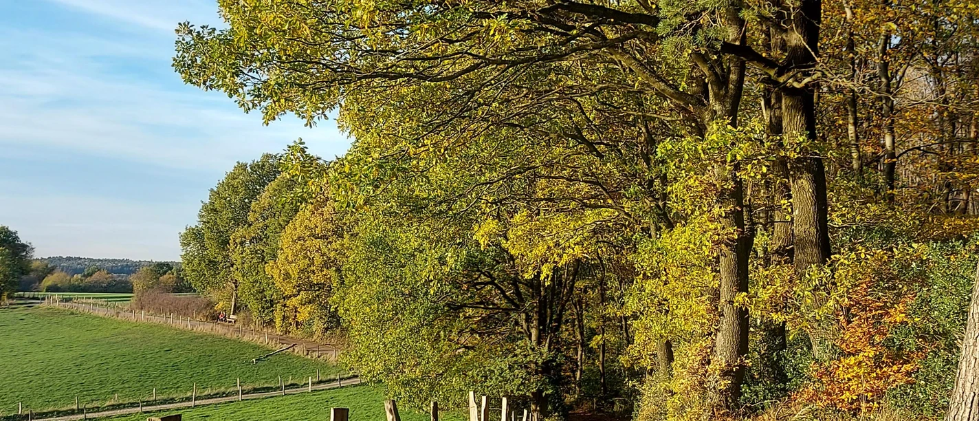 Lehmjöres Aussicht September-Oktober (co) Theißen-