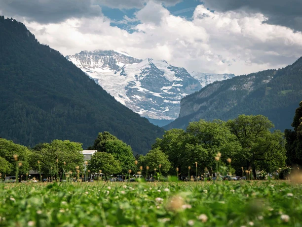 restaurant-des-alpes-sicht-hoehematte-jungfrau.jpg