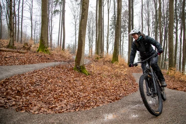 Green Trails Diemelstadt