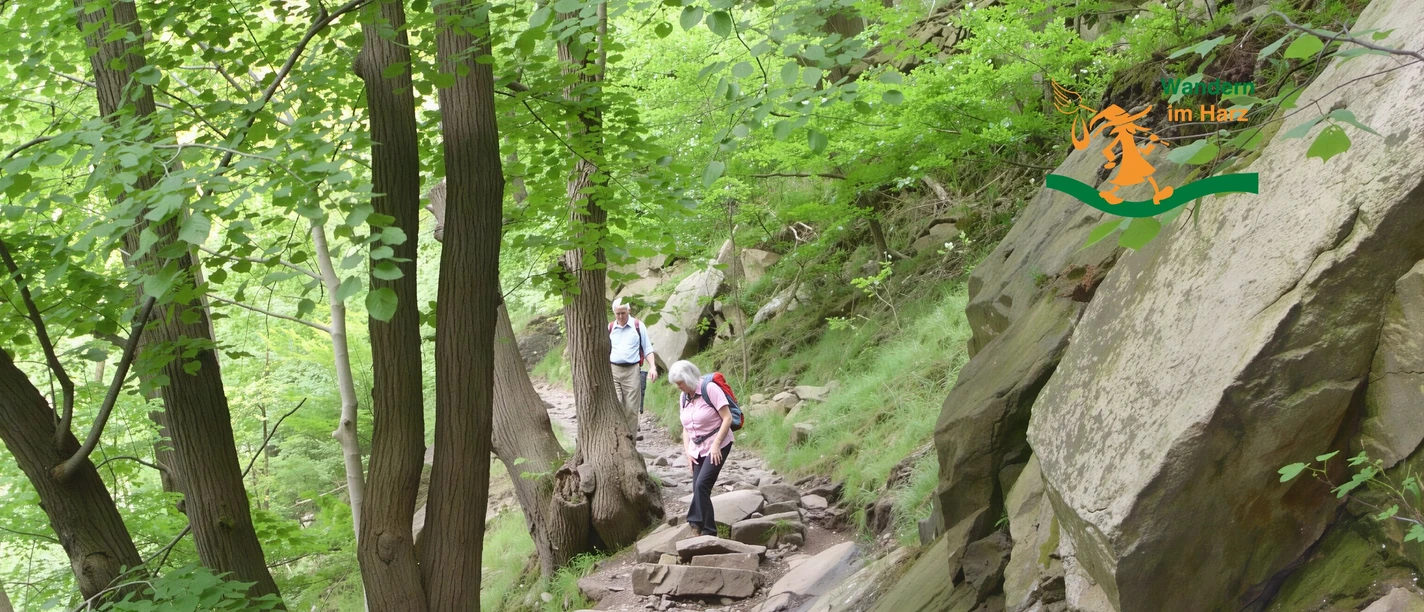 Wandern im Harz - Harzer Hexen Stieg - Kurzprogramm ab Mandelholz Wandern im Harz - Harzer Hexen Stieg - Kurzprogramm ab Mandelholz