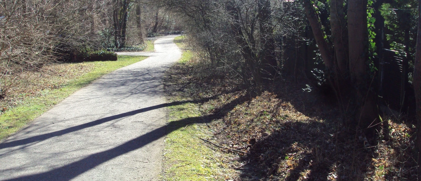 Terrainkurweg_SZ-Bad_Hasenspring_HD_16zu9.JPG Geschwungener Terrainkurweg mit langen Baumschatten im hellen Sonnenlicht.
