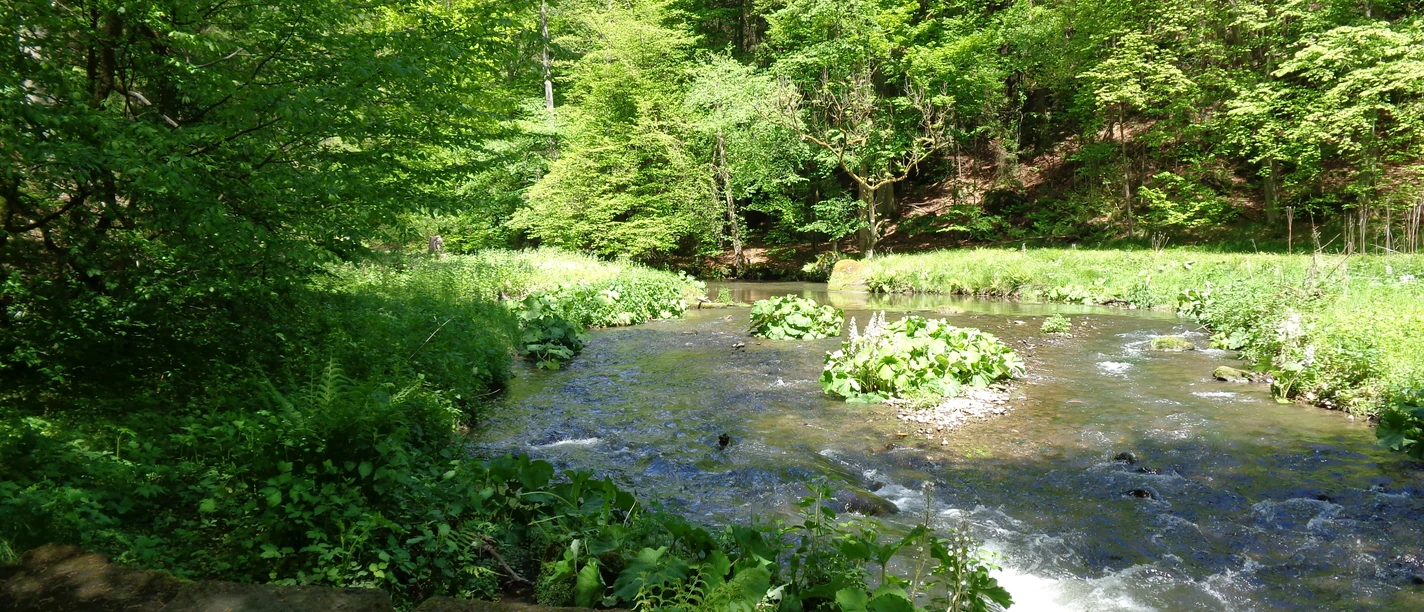 Polenztal