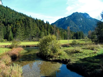 Ammerquellen im Ettaler Weidmoos