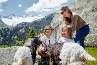 Large Göscheneralp Geissenparadies