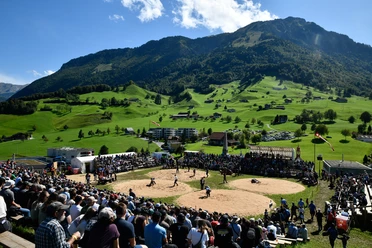 Die schöne Natur-Arena auf der Allweg-Kuppe