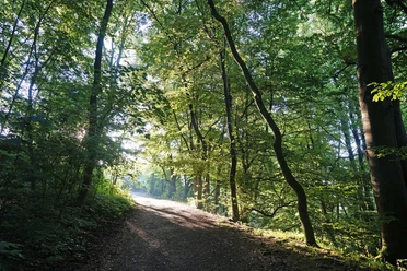 Prinzenquelle